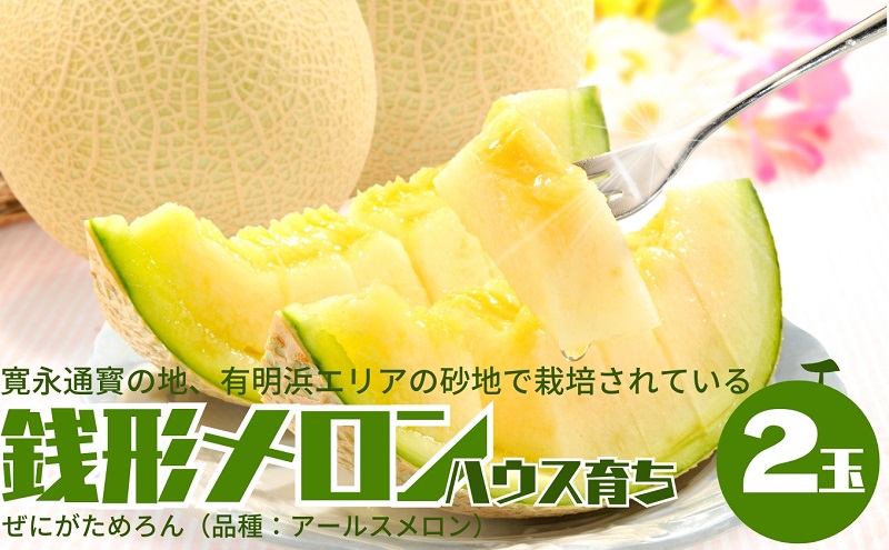 温室メロン（銭形メロン）2玉入り 果物 メロン青肉 フルーツ 温室育ち アールスメロン おやつ デザート 食後 国産 香川県産 観音寺市産