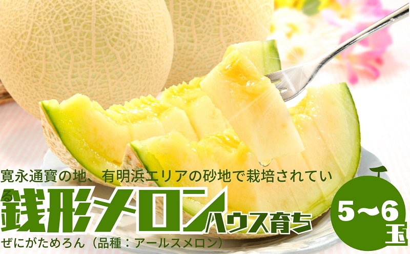 温室メロン（銭形メロン）5～6玉入り 果物 メロン青肉 フルーツ 温室育ち アールスメロン おやつ デザート 食後 国産 香川県産 観音寺市産