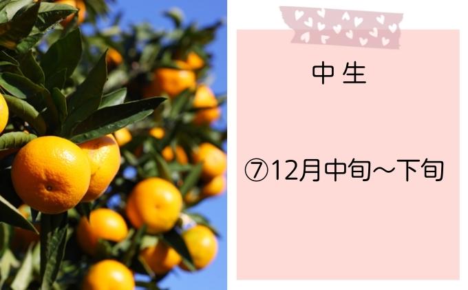 【7回頒布会】～フジカワ果樹園産地直送便～香川県産・彩り温州みかんセット 果物 柑橘 フルーツ 食べ比べ 