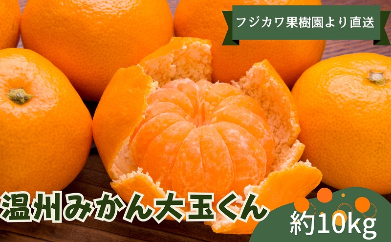 2025年秋よりお届け 温州みかん大玉くん　約10kg 果物類 柑橘類 フルーツ 蜜柑 ミカン くだもの
