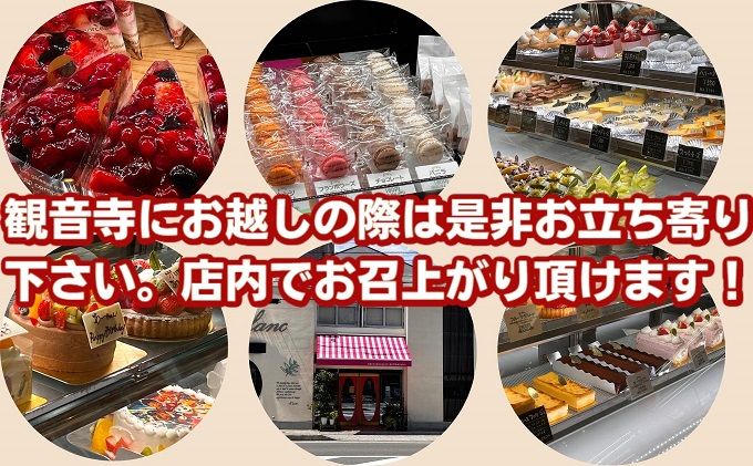 修業時代のマドレーヌ　12個入り