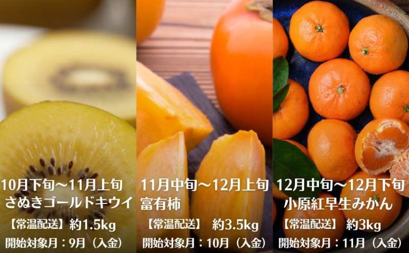 ã2025幎åä»ã 芳é³å¯ºããã®ãã«ãŒãå®æäŸ¿ 幎12å