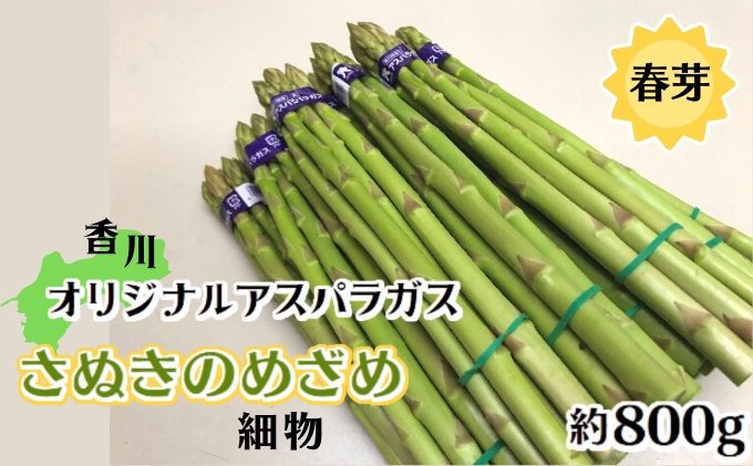 香川オリジナルアスパラガス「さぬきのめざめ春芽」細物　約800g 野菜 産地直送 香川県産 春野菜 Mサイズ