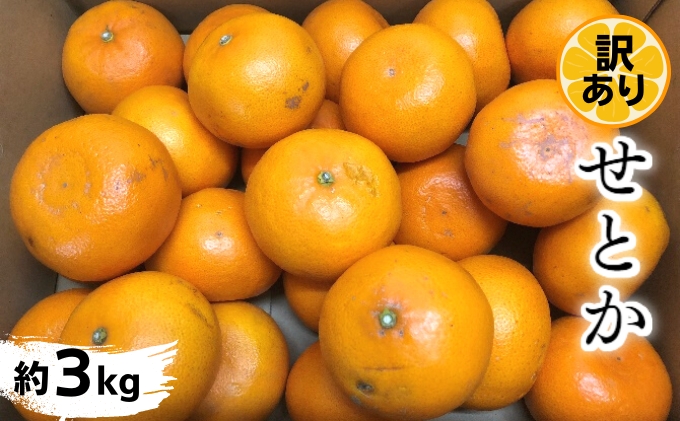 《訳あり》 せとか 約3kg 甘い みかん お取り寄せ  果物 くだもの 季節限定 柑橘 蜜柑 かんきつ おすすめ フルーツ 香川県観音寺市