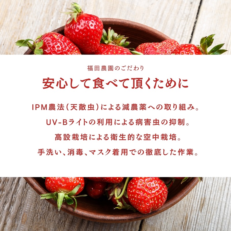 福田さんちのイチゴ(さぬきひめ) 2Lサイズ ×6パック 1.5kg以上【配送不可：北海道、沖縄、離島エリア】苺 農園直送 いちご採れたて直送