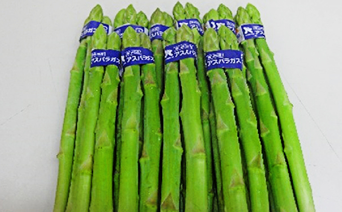 香川県オリジナルアスパラガス「さぬきのめざめ」(夏芽)細物 約800g