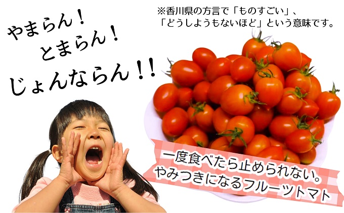 繝「繝ェ繝偵Ο蝨定敢縺瑚ご縺ヲ縺溘§繧繧薙↑繧峨s繝医槭ヨシ医ぐ繝輔ヨ繝懊ャ繧ッ繧ケ蜈・繧奇シ 驥手除 繝溘ル繝医槭ヨ 繧オ繝ゥ繝 邉門コヲ鬮倥a 逕伜袖 驟ク蜻ウ 繝ェ繧ウ繝斐Φ