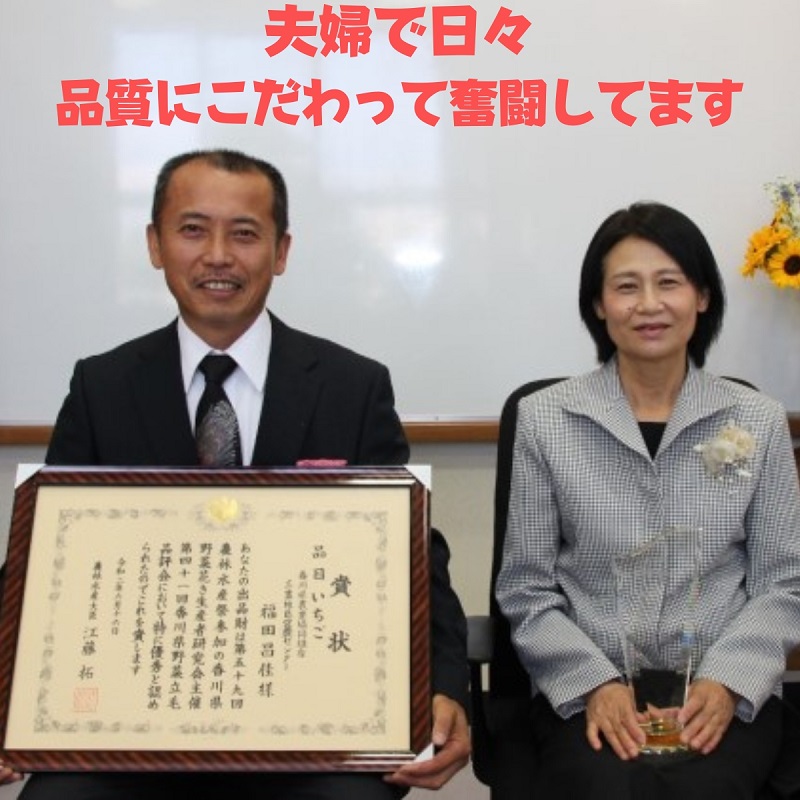 福田さんちのイチゴ(さぬきひめ) 2Lサイズ×2パック 500g以上【配送不可：北海道、沖縄県、離島エリア】苺 農園直送 いちご採れたて直送