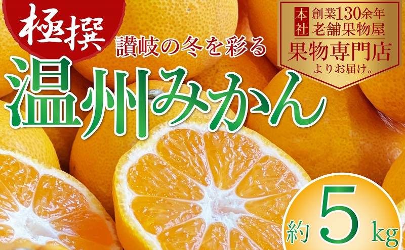 【2026年11月上旬より順次発送】極撰！温州みかん 約5kg 果物 柑橘 フルーツ 程よい酸味 ジューシー 甘い 国産 日本産 冬の味覚 冬の果物 冬のフルーツ