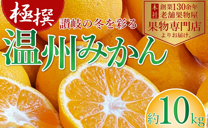 【2026年11月上旬より順次発送】極撰！温州みかん　約10kg 果物 柑橘 フルーツ 程よい酸味 ジューシー 甘い 国産 日本産 冬の味覚 冬の果物 冬のフルーツ