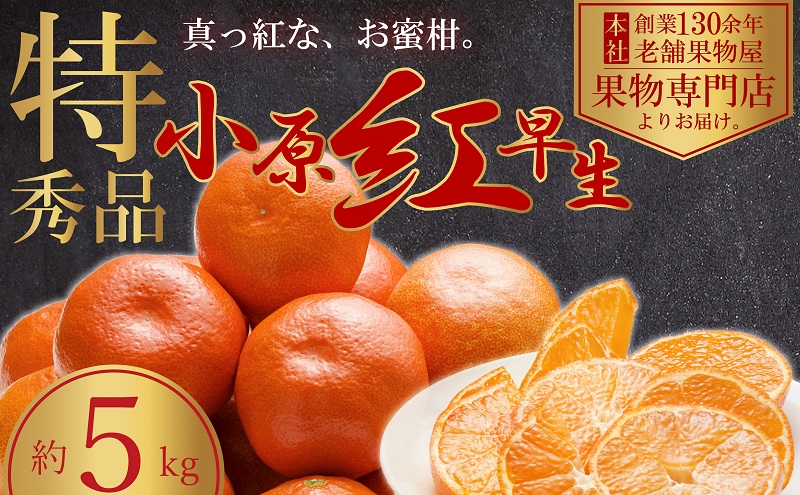 【2025年11月中旬より順次発送】極撰！真っ赤なみかんの小原紅早生　約5kg 果物 フルーツ 柑橘 デザート おやつ 食後 国産 日本産 産地直送 香川オリジナル品種 食べ物
