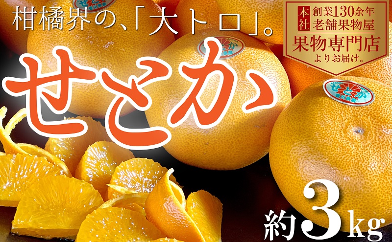 【2026年2月上旬より順次発送】柑橘界の大トロ！せとか　約3kg 果物 フルーツ 国産 日本産 冬の味覚 冬の果物 冬のフルーツ 香川オリジナル品種 観音寺市産