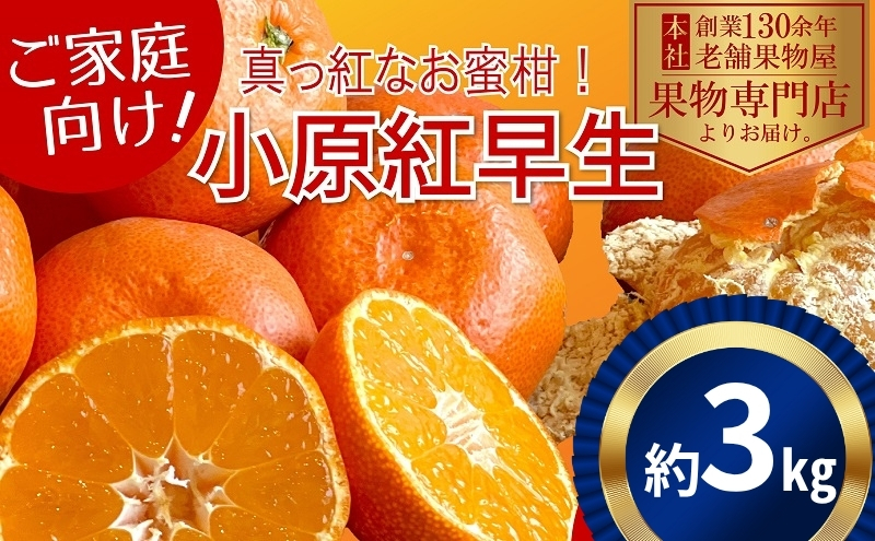 【2025年11月中旬より順次発送】ご家庭用！真っ赤なみかんの小原紅早生　約3kg 果物 フルーツ 柑橘 デザート おやつ 食後 国産 日本産 産地直送 香川オリジナル品種 食べ物
