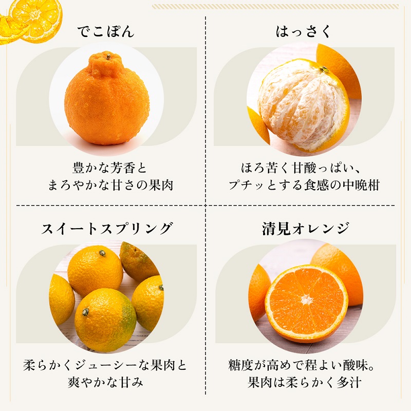 旬を見極めた、厳選フルーツ詰合せ定期便【観音寺コース】2ヶ月連続 果物 旬の果物 旬のフルーツ お楽しみ デザート 食後 国産 観音寺産 