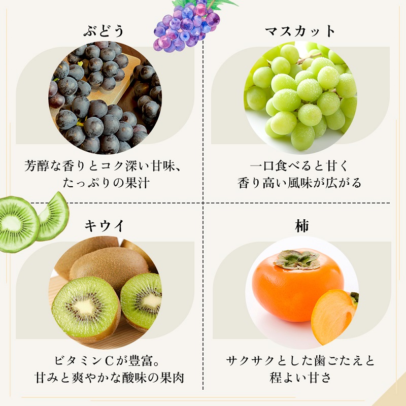 旬を見極めた、厳選フルーツ詰合せ定期便【観音寺コース】3ヶ月連続 果物 旬の果物 旬のフルーツ お楽しみ デザート 食後 国産 観音寺産 