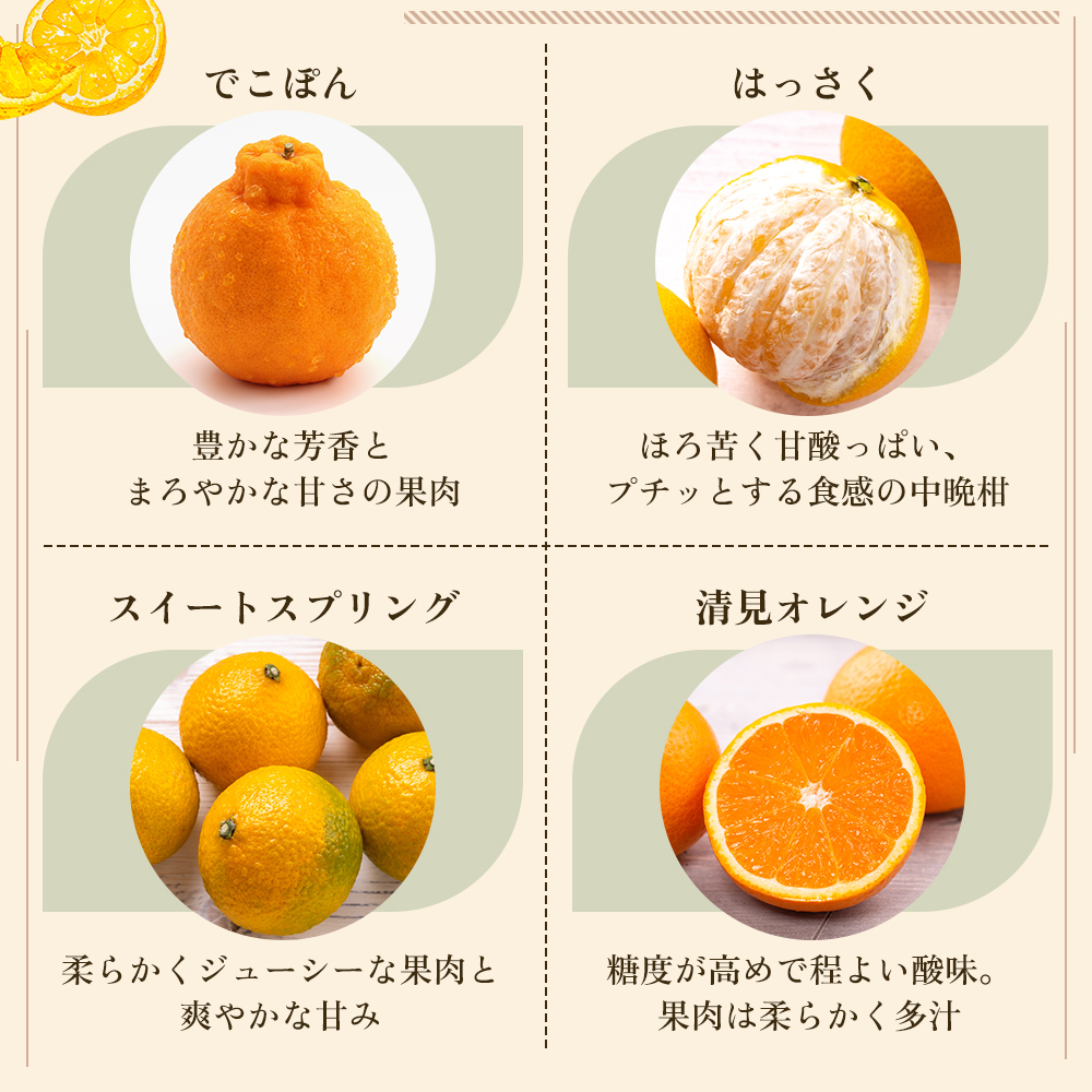 旬を見極めた、厳選フルーツ詰合せ【観音寺コース-極-】3ヶ月連続 果物 旬の果物 旬のフルーツ お楽しみ デザート 食後 国産 観音寺産 