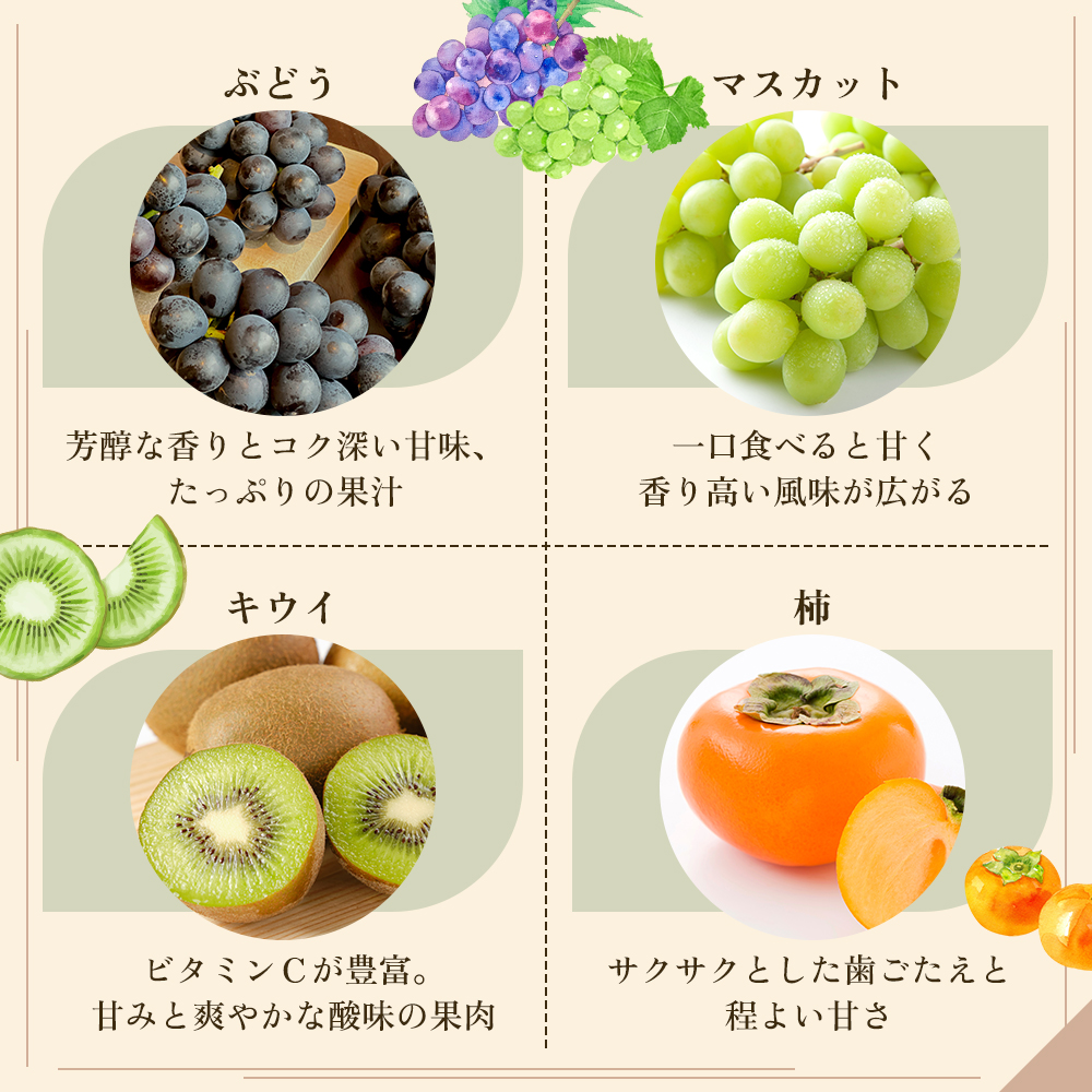 旬を見極めた、厳選フルーツ詰合せ【観音寺コース-極-】3ヶ月連続 果物 旬の果物 旬のフルーツ お楽しみ デザート 食後 国産 観音寺産 