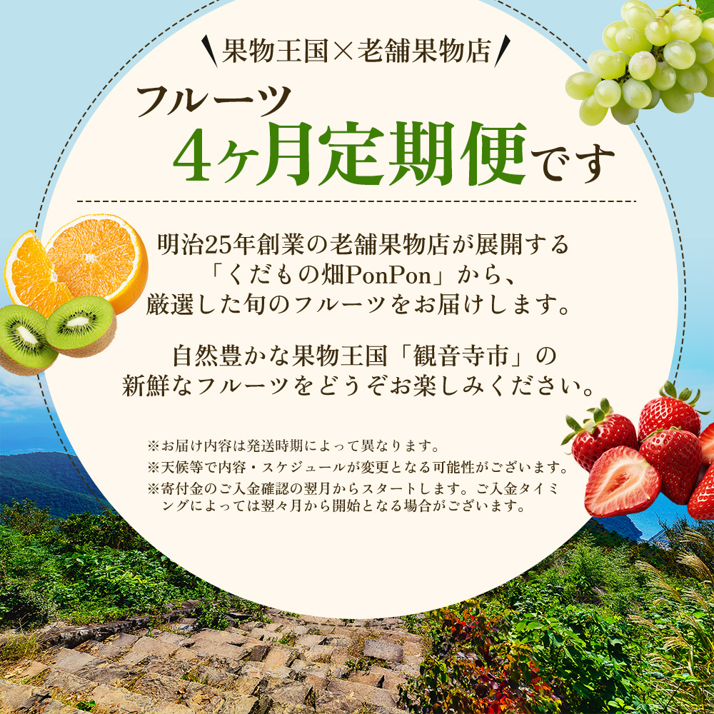 旬を見極めた、厳選フルーツ詰合せ【観音寺コース-極-】4ヶ月連続 果物 旬の果物 旬のフルーツ お楽しみ デザート 食後 国産 観音寺産 