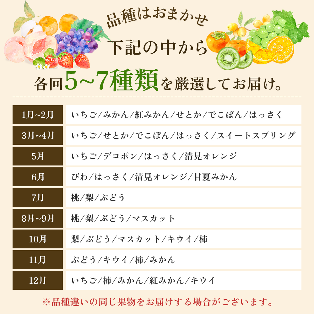 旬を見極めた、厳選フルーツ詰合せ【観音寺コース-極-】6ヶ月連続 果物 旬の果物 旬のフルーツ お楽しみ デザート 食後 国産 観音寺産 