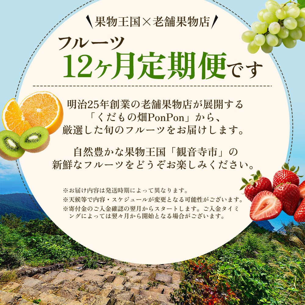 旬を見極めた、厳選フルーツ詰合せ【観音寺コース-極-】12ヶ月連続 果物 旬の果物 旬のフルーツ お楽しみ デザート 食後 国産 観音寺産 