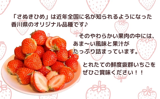 ã2026幎1æäžæ¬ããé æ¬¡çºéãç§åïŒãã¬ãã²ãã4ããã¯ïŒïŒããã¯çŽ250ïœÃ4ããã¯ïŒ æç© ãã«ãŒã åœç£ æ¥æ¬ç£ ãã¡ã éŠå·çãªãªãžãã«åçš® ããããã ææ±ãã£ã·ã ãšãã㊠鮮床æçŸ€ ãã¶ãŒã