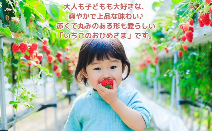 ã2026幎1æäžæ¬ããé æ¬¡çºéãç§åïŒãã¬ãã²ãã4ããã¯ïŒïŒããã¯çŽ250ïœÃ4ããã¯ïŒ æç© ãã«ãŒã åœç£ æ¥æ¬ç£ ãã¡ã éŠå·çãªãªãžãã«åçš® ããããã ææ±ãã£ã·ã ãšãã㊠鮮床æçŸ€ ãã¶ãŒã