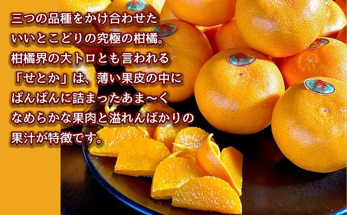 ã2026幎2æäžæ¬ããé æ¬¡çºéãææ©çã®å€§ããïŒããšããçŽ3kg æç© ãã«ãŒã åœç£ æ¥æ¬ç£ å¬ã®å³èŠ å¬ã®æç© å¬ã®ãã«ãŒã éŠå·ãªãªãžãã«åçš® 芳é³å¯ºåžç£