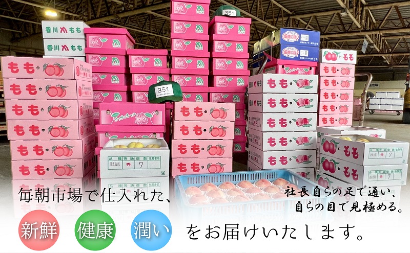 【2026年先行予約】特秀品！桃　約4kg（12～16玉） 果物 フルーツ デザート 食後 国産 日本産 産地直送 ジューシー 果汁たっぷり 夏の果物 夏のフルーツ 