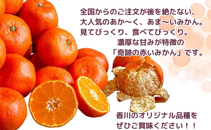 ã2025幎11æäžæ¬ããé æ¬¡çºéãæ¥µæ°ïŒçã£èµ€ãªã¿ããã®å°åçŽ
æ©çãçŽ5kg æç© ãã«ãŒã ææ© ãã¶ãŒã ãã〠é£åŸ åœç£ æ¥æ¬ç£ ç£å°çŽé éŠå·ãªãªãžãã«åçš® é£ã¹ç©