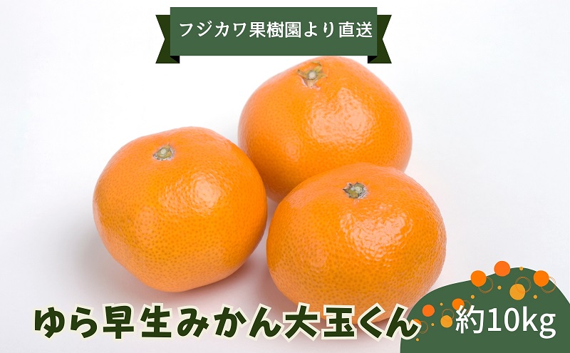 2025年秋よりお届け ゆら早生みかん　大玉くん　10kg 果物類 柑橘類 フルーツ ミカン 蜜柑 くだもの