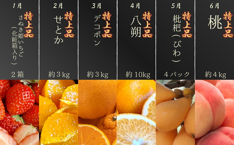 ãæ°ééå®ïŒãæ¬ã®èŠæ¥µããã®äžåïŒãã¬ãã¢ã ççŽéžæã®12ã¶æé£ç¶ååå®æäŸ¿âª èº ããšã è¡è èæ ã³ã æ¡ æ¢š æ¿