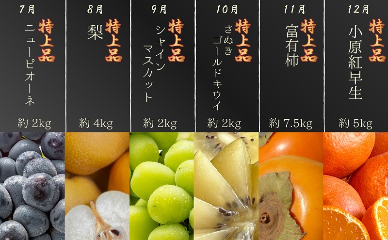 ãæ°ééå®ïŒãæ¬ã®èŠæ¥µããã®äžåïŒãã¬ãã¢ã ççŽéžæã®12ã¶æé£ç¶ååå®æäŸ¿âª èº ããšã è¡è èæ ã³ã æ¡ æ¢š æ¿