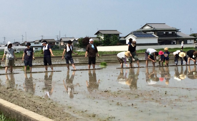 川鶴　讃岐くらうでぃ　720ml　6本セット 日本酒 お酒 低アルコール 麹の旨味 フルーティー 吟醸香 甘酸っぱい 肉料理と合う グビグビ飲める アルコール6％ 