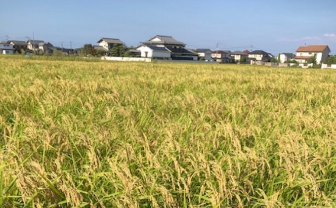 川鶴　讃岐くらうでぃ　720ml　6本セット 日本酒 お酒 低アルコール 麹の旨味 フルーティー 吟醸香 甘酸っぱい 肉料理と合う グビグビ飲める アルコール6％ 
