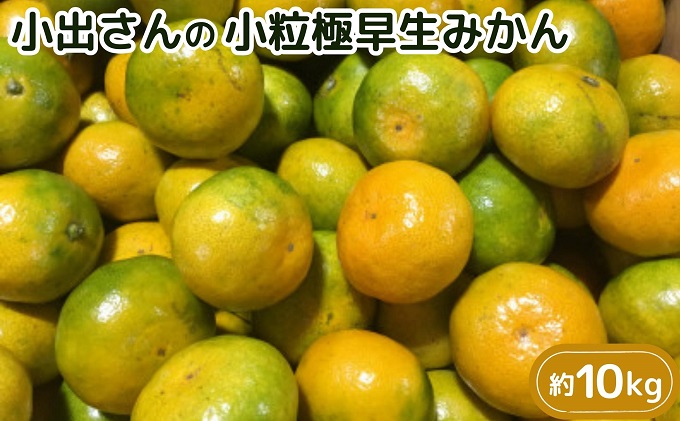 小出さんの小粒極早生みかん　約10kg 果物類 柑橘類 フルーツ まごころ 農薬 有機質肥料 旨味 濃縮 濃厚 ノーワックス 美味しい