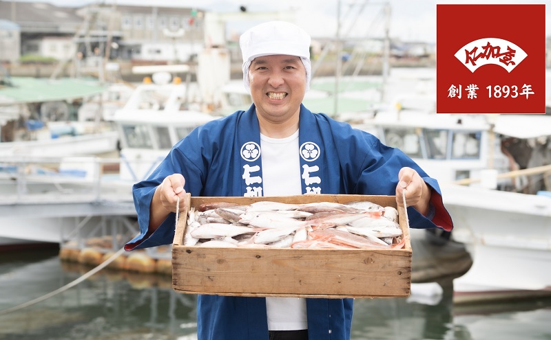 年4回 定期便【香川県産魚入りお刺身蒲鉾】仁加屋かまぼこ詰合せ セット-6 魚貝類 練り製品 練り物 詰め合わせ 瀬戸内海 グチ エソ ハモ タイ 