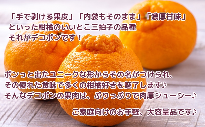 ご家庭用！「デコポン」約5kg フルーツ デザート 甘い 果物類 みかん 柑橘類 手で剥ける 果皮 甘味 果肉 肉厚 ジューシー 専門店 美味しい