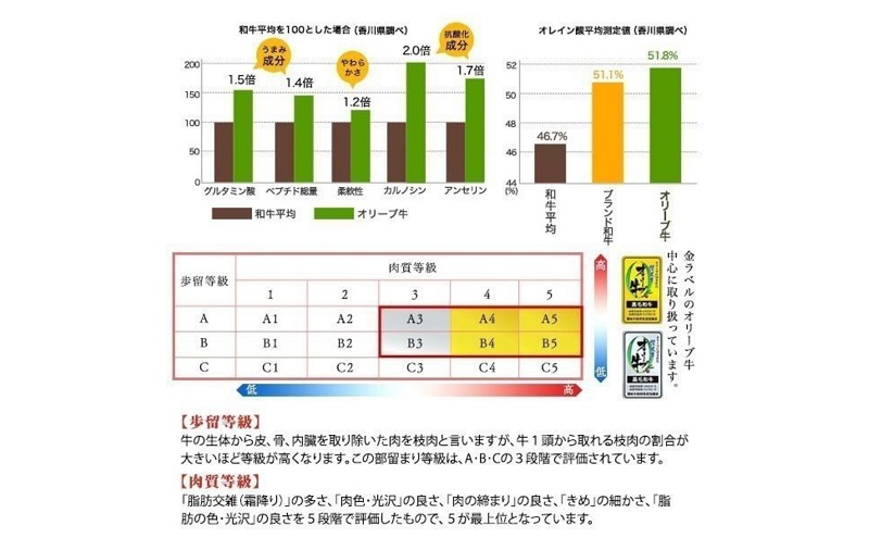 オリーブ牛上すき焼き肉 1.2kg（400g×3） お肉 牛肉 黒毛和牛 ブランド牛 美しいサシ 上品な甘味 とろけるよう 