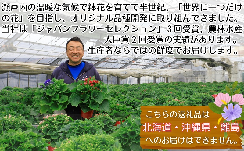 繝「繝ェ繝偵Ο蝨定敢縺瑚ご縺ヲ縺溘♀闃ア縺ョ12繝カ譛亥ョ壽悄萓ソ 讀咲黄