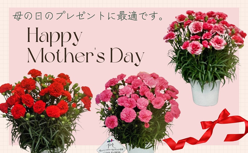 縲2025豈阪ョ譌・ 蜈郁。御コ育エ縲7蟇ク繧ォ繝シ繝阪シ繧キ繝ァ繝ウ縲襍、 豈阪ョ譌・繧ョ繝輔ヨ 闃ア 繝輔Λ繝ッ繝シ 讀咲黄 縺願干 雍医j迚ゥ 迴阪@縺繧ォ繝シ繝阪シ繧キ繝ァ繝ウ 蠎暮擇邨ヲ豌エ 豈阪ョ譌・縺ョ繝励Ξ繧シ繝ウ繝