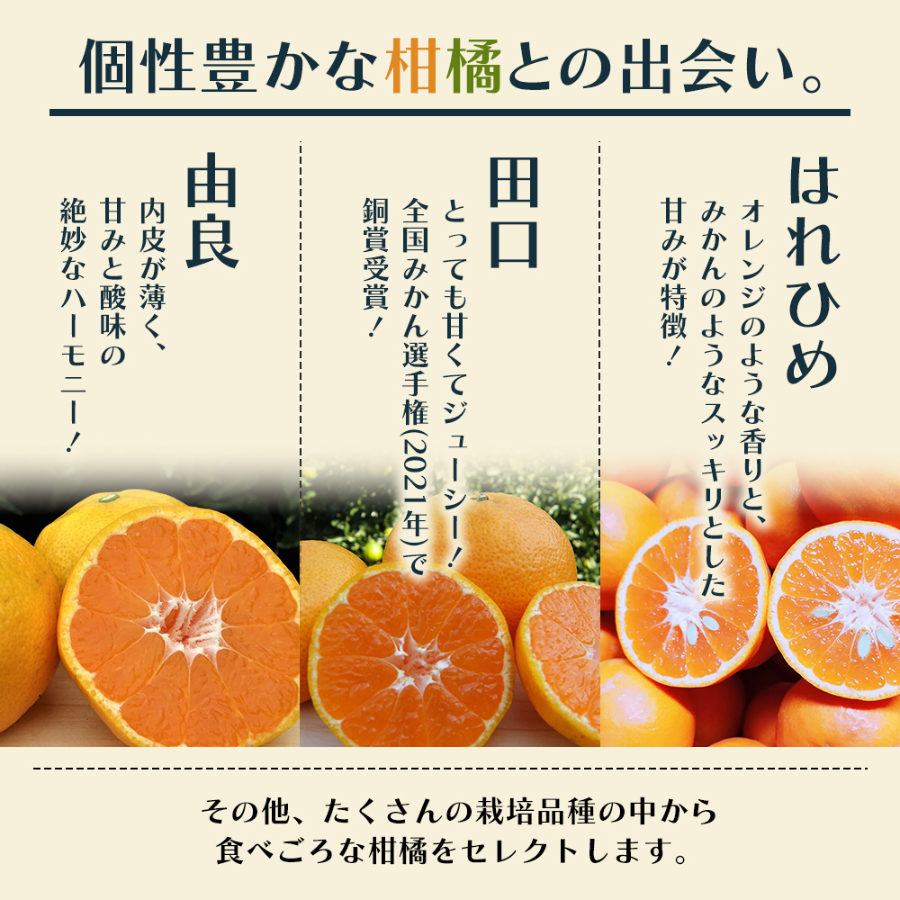 【8回 頒布会】みかん 柑橘類 定期便 彩り柑橘 8回 フルーツ フジカワ果樹園セレクト 果物 温州みかん 石地みかん 中晩柑 はれひめ 讃岐しらぬひ はるか レモン セミノール 甘夏柑 甘い 8ヶ月 
