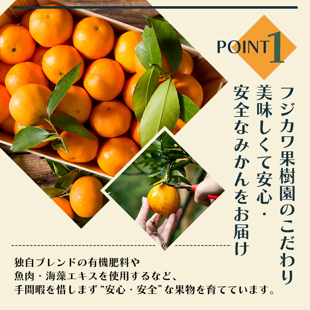 【8回 頒布会】みかん 柑橘類 定期便 彩り柑橘 8回 フルーツ フジカワ果樹園セレクト 果物 温州みかん 石地みかん 中晩柑 はれひめ 讃岐しらぬひ はるか レモン セミノール 甘夏柑 甘い 8ヶ月 