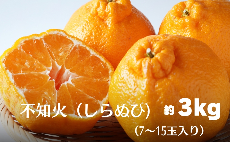 不知火（しらぬひ）約3kg 果物類 みかん 柑橘類 デコポン フルーツ 