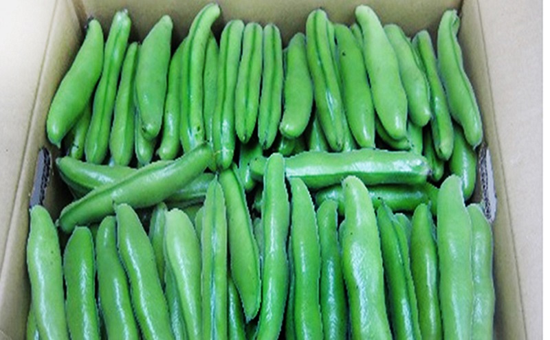 縺昴i雎 邏4kg 驥手除 縺昴i縺セ繧√