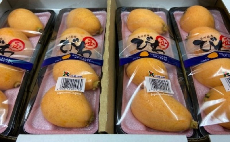 なつたより（びわ）約1kg さぬき産フルーツ 果物類 枇杷 