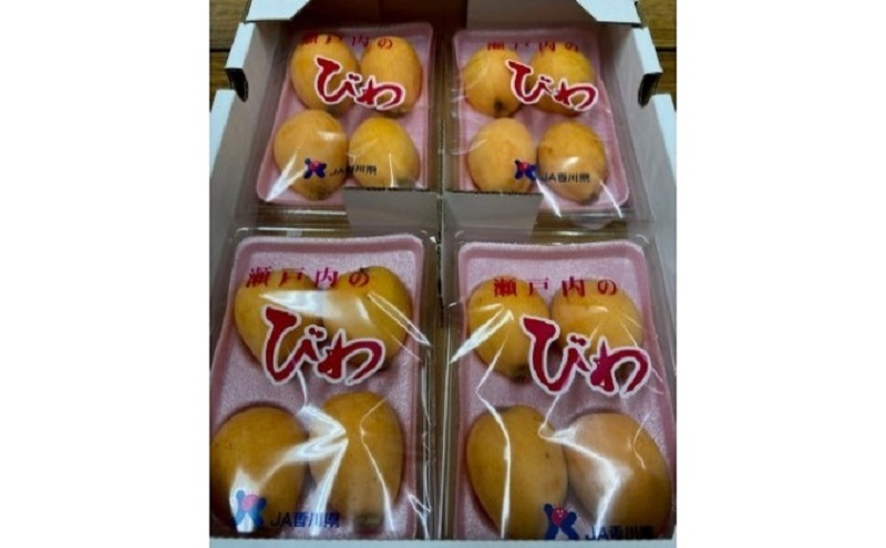 なつたより（びわ）約1kg さぬき産フルーツ 果物類 枇杷 