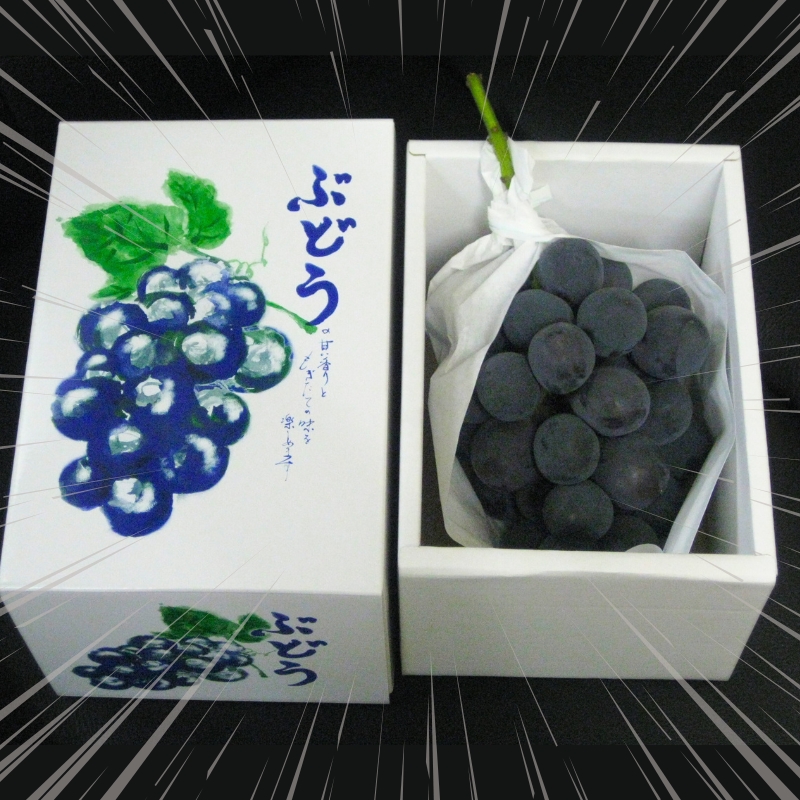 繝上え繧ケ閧イ縺。 繝斐が繝シ繝 邏600g 1謌ソ蛹也イァ邂ア蜈・繧 譫懃黄 縺カ縺ゥ縺 繝悶ラ繧ヲ 繝輔Ν繝シ繝