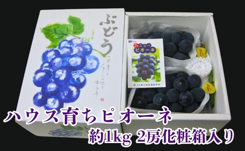ハウス育ち ピオーネ 約1kg 2房化粧箱入り 果物 ぶどう ブドウ フルーツ