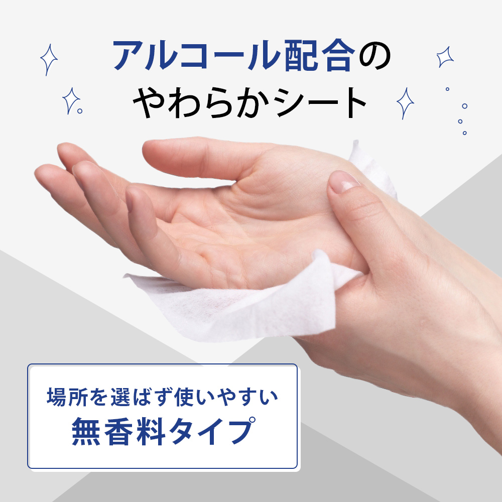 【99.9％ 除菌】大判ウエットティッシュ（アルコールタイプ）20枚入り×25個セット（500枚）