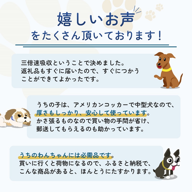 3倍速ふんわりサラ・シート　ワイド　40枚×4袋　ペットシート ペットシーツ 犬用 ワンちゃん 日本製 雑貨 日用品 防災 防災グッズ 